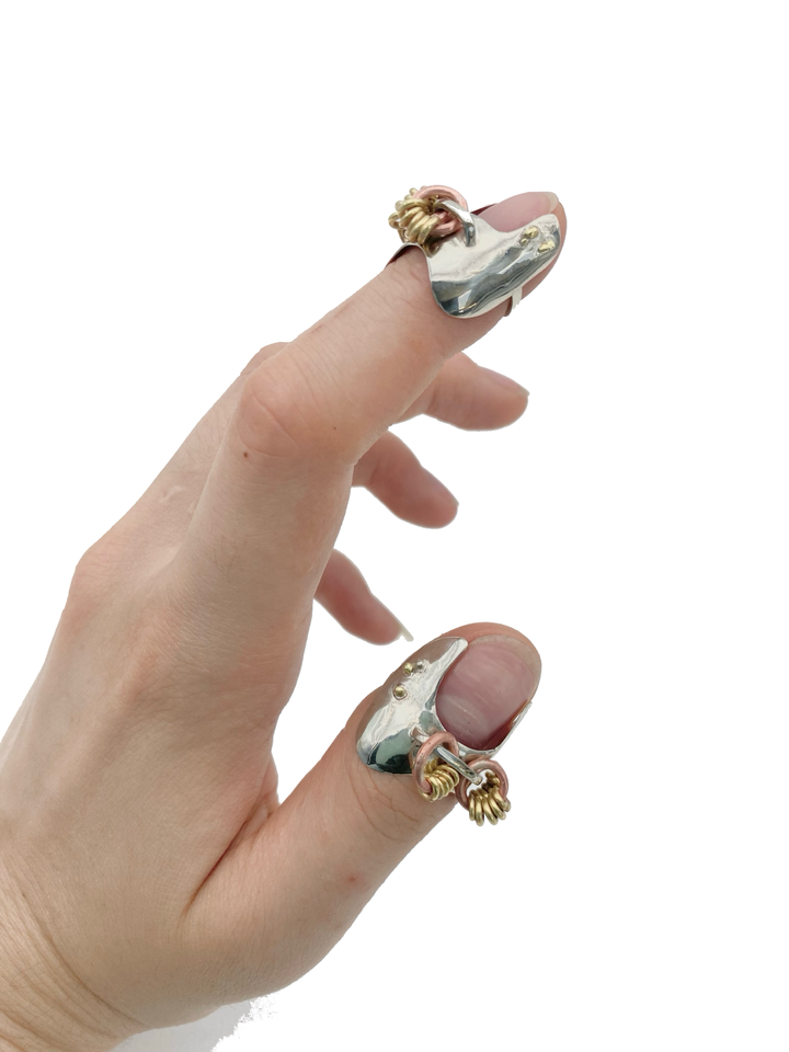 Bull Rings