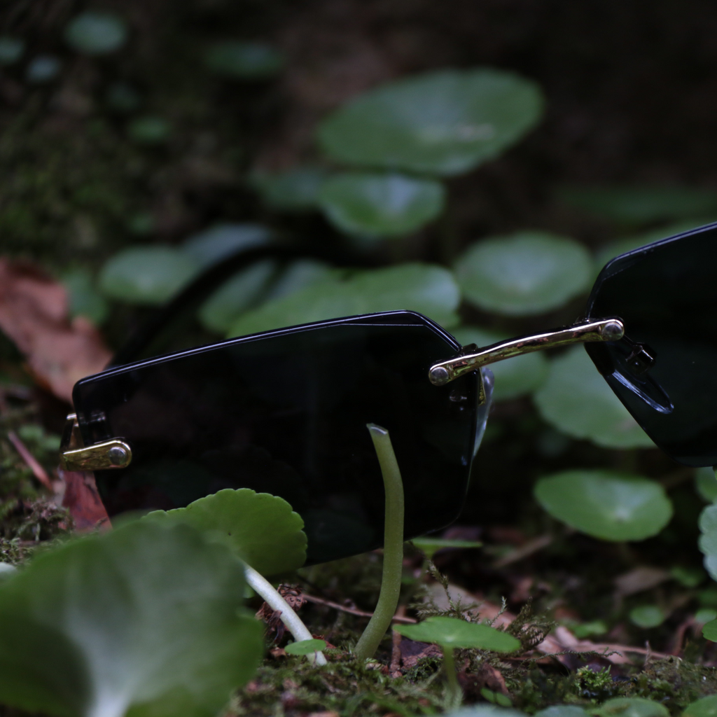 "Icey Luxury" Glasses