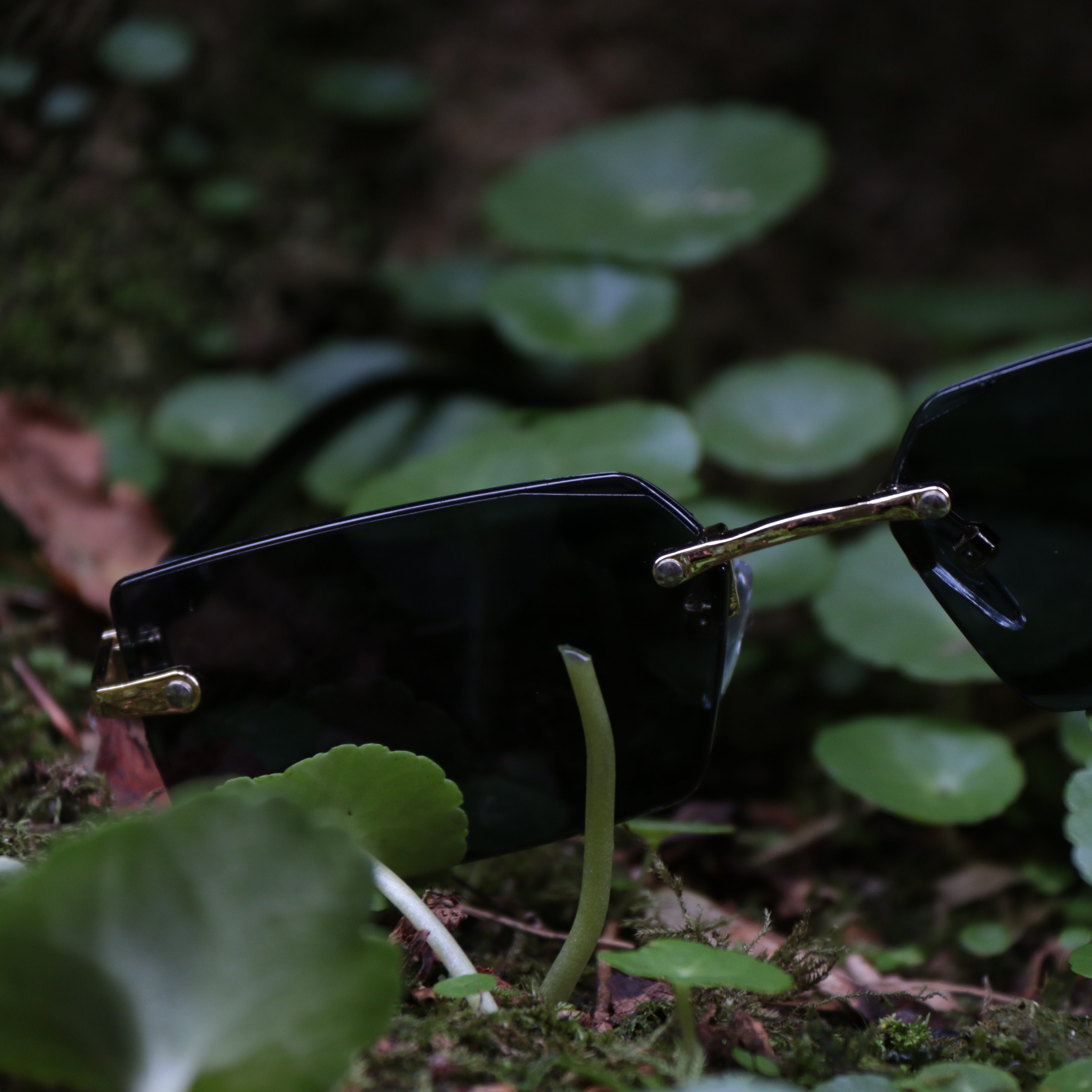 "Icey Luxury" Glasses