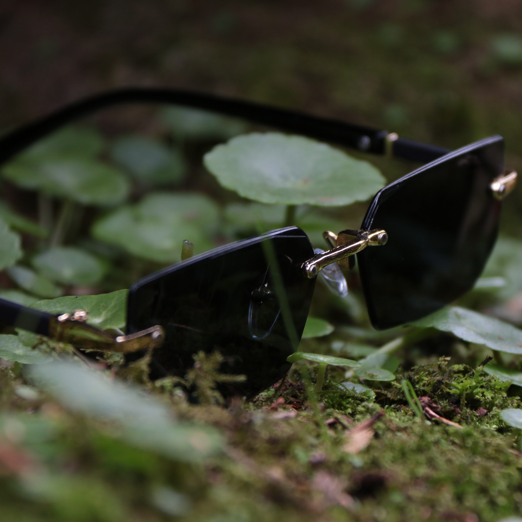 "Icey Luxury" Glasses