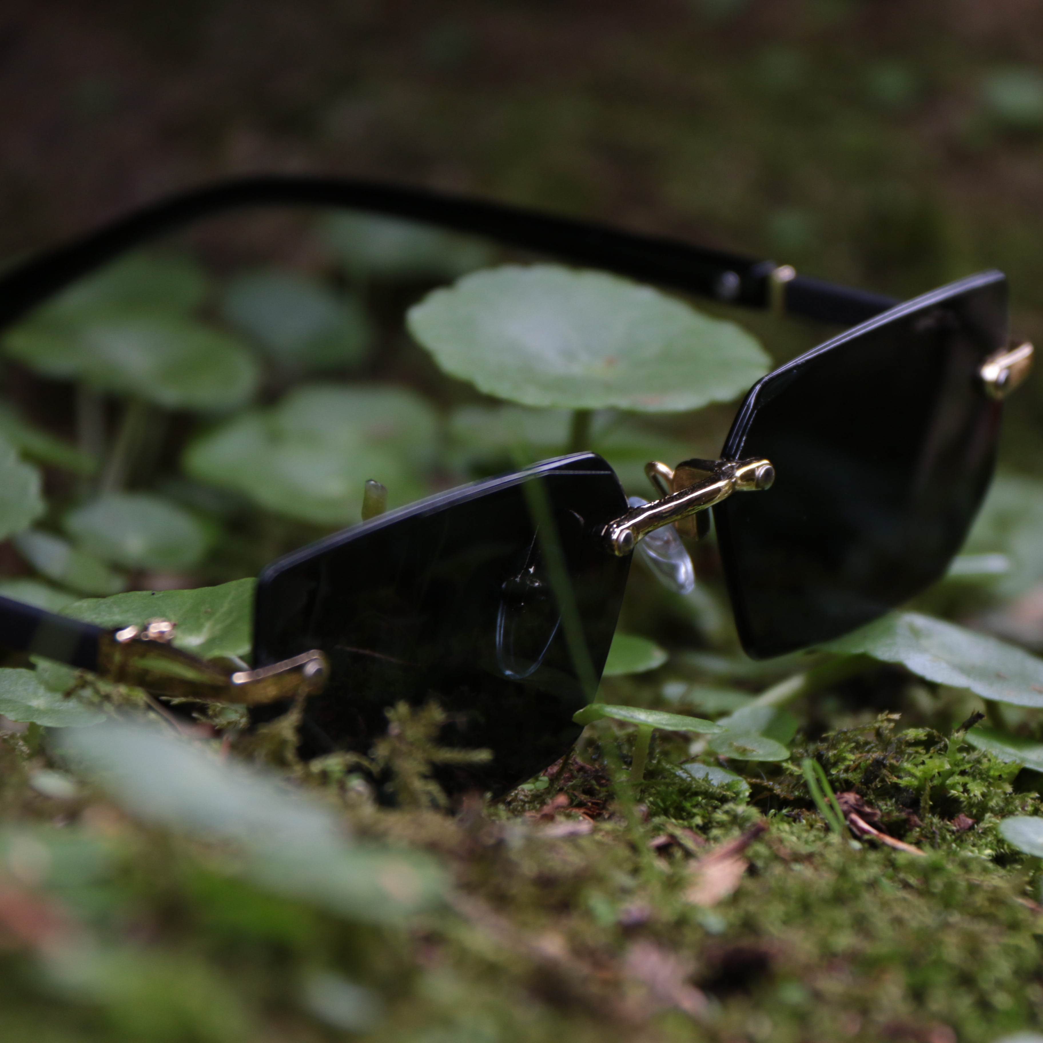 "Icey Luxury" Glasses